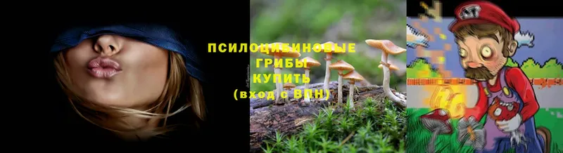 цена наркотик  Ветлуга  Галлюциногенные грибы Cubensis 